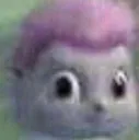 bibble_what