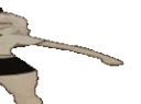 wideFillyWalk2