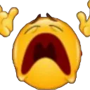 le_cry Discord Emoji