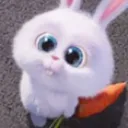 cute