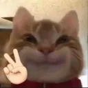 hihi