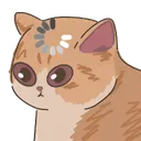 loadingcat