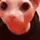 Bingus_god6 Bingus_god6