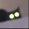 GlowyCat GlowyCat