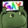gay