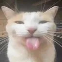 cta_bleh