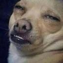 dog Discord sticker - ✦Sleepy Hollow✦