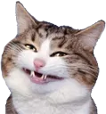 cat_smile