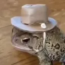 CowBoyFrog