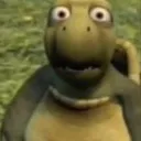 uh