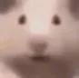 TTEHamWhy
