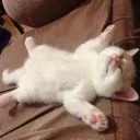 weepykitty Discord Emoji