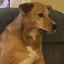 sideeye