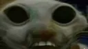 xddemon