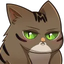 FlashStare FlashStare