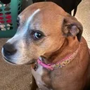 zoesideeye