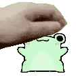 petfrog petfrog