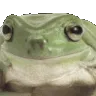 frogno