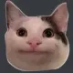 emoji_24