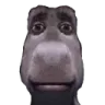the_stare the_stare