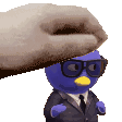 7428pablopet