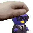 7428pablopet