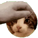 cutenose