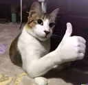 thumbsup