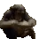 Monke