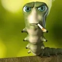 caterpillar