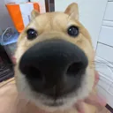 stare stare