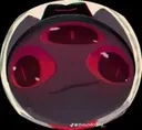 Nari_closestare