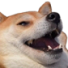 FH_doglaf Discord emoji