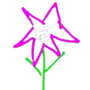 Nunus_Specialflower