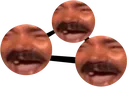 kekium kekium