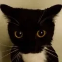 3_