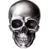skull skull