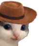 Meowdy