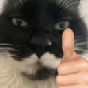 kitithumbsup