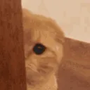 Cosmo_lurk Cosmo_lurk