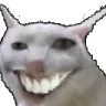 CATGRIN