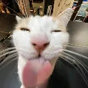 silly
