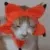 TiredFlowerCat