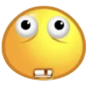 stupid stupid