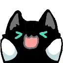 Moki_happy