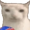 veryCat