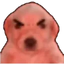 reddog