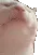 catgroovin
