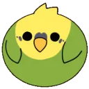 BudgieRoll