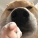 look_gay